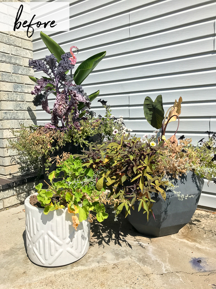 HOW TO UPDATE YOUR FLOWER POTS FOR FALL