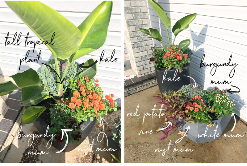 HOW TO UPDATE YOUR FLOWER POTS FOR FALL