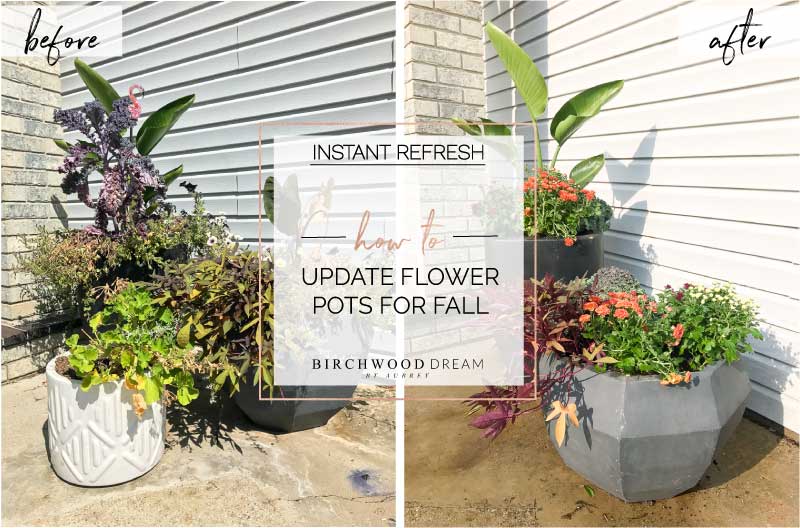 HOW TO UPDATE YOUR FLOWER POTS FOR FALL