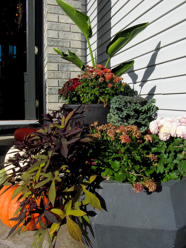 HOW TO UPDATE YOUR FLOWER POTS FOR FALL