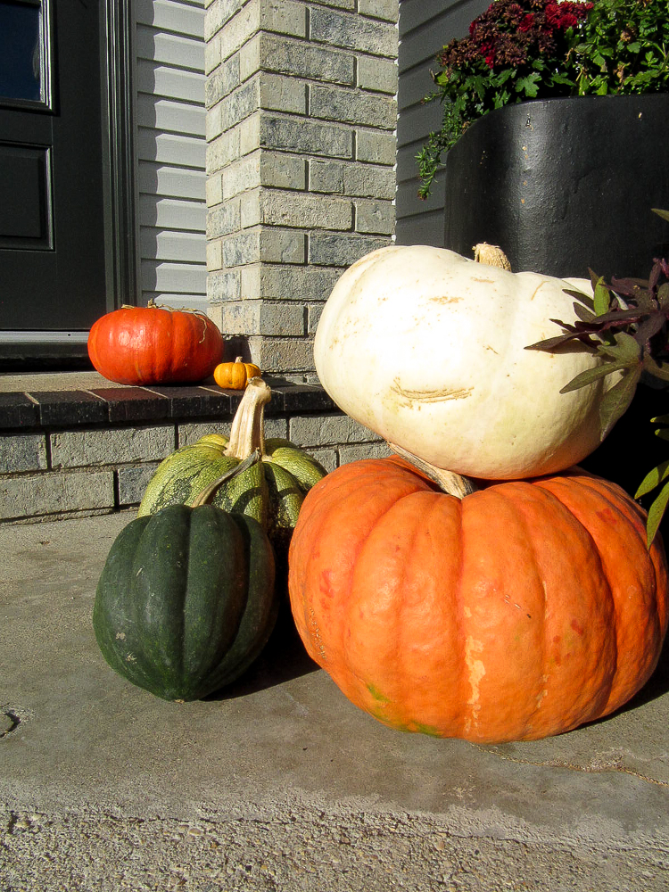 HOW TO UPDATE YOUR FLOWER POTS FOR FALL