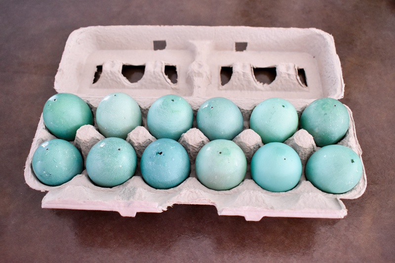 DIY Faux Robin Eggs - Copper Leafed Robin Eggs & Gold Speckled Robin Eggs Tutorials using Blown Out Eggshells