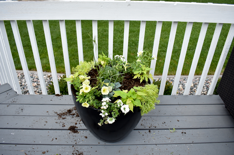 How to Plant a Container Flower Pot - Tutorial