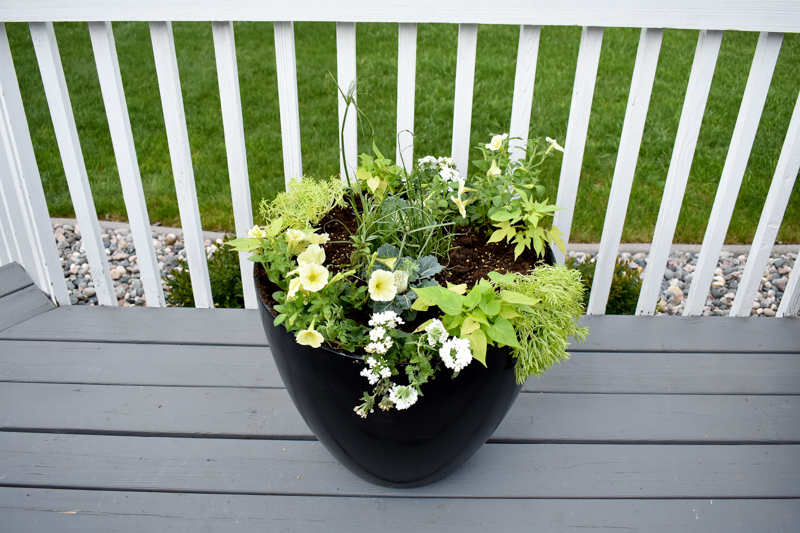How to Plant a Container Flower Pot - Tutorial