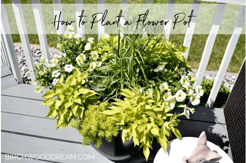 How to Plant a Container Flower Pot - Tutorial