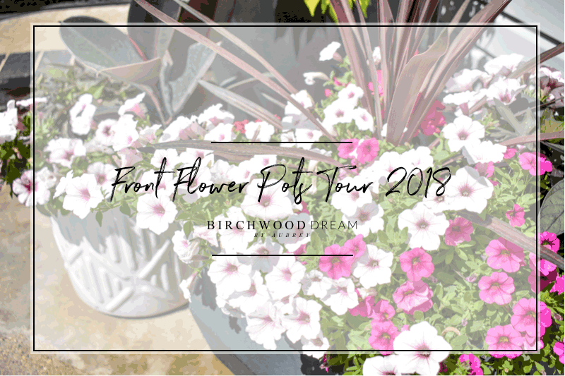 Front Flower Pots Tour 2018