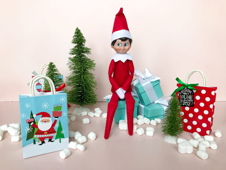 Secrets Revealed from a Christmas Elf: How to Find the Perfect ...